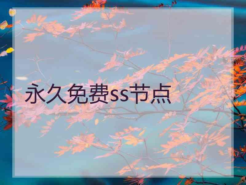 永久免费ss节点