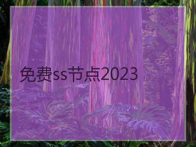 免费ss节点2023