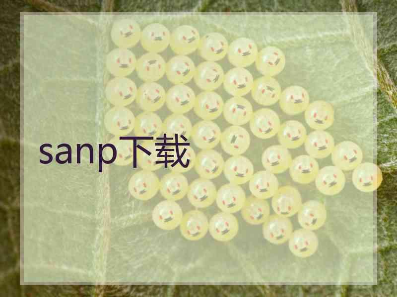 sanp下载