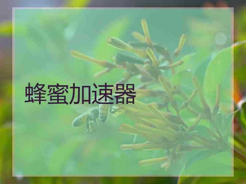 蜂蜜加速器