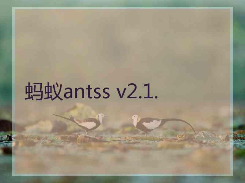 蚂蚁antss v2.1.