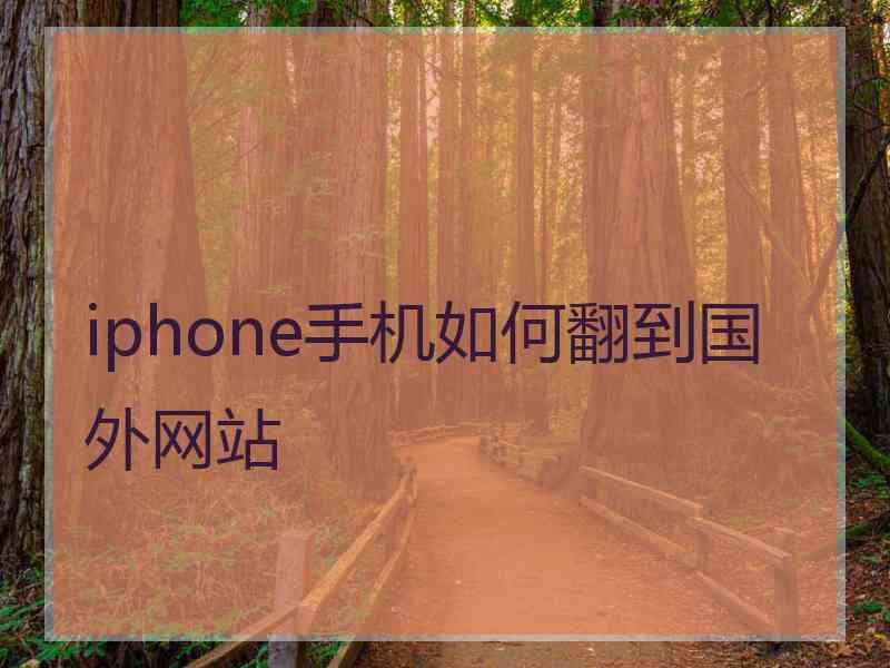 iphone手机如何翻到国外网站