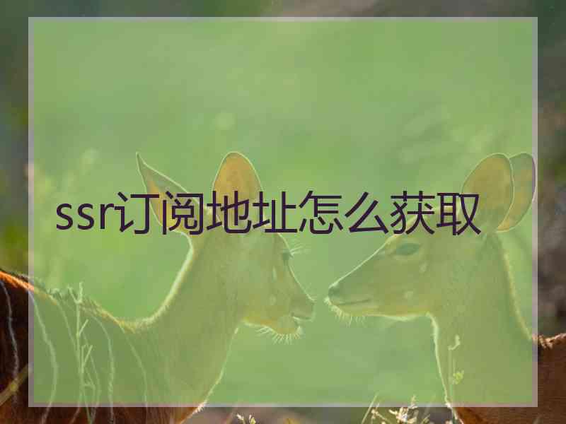 ssr订阅地址怎么获取