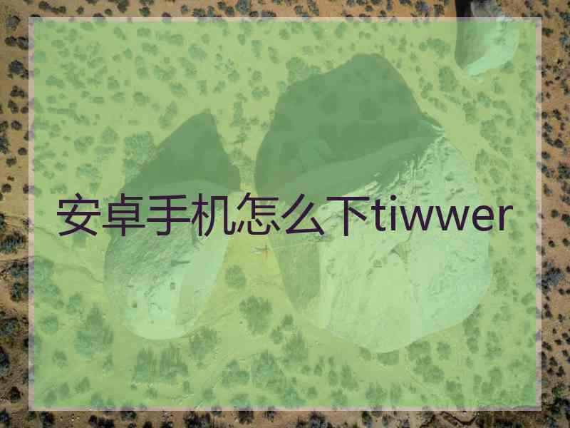 安卓手机怎么下tiwwer