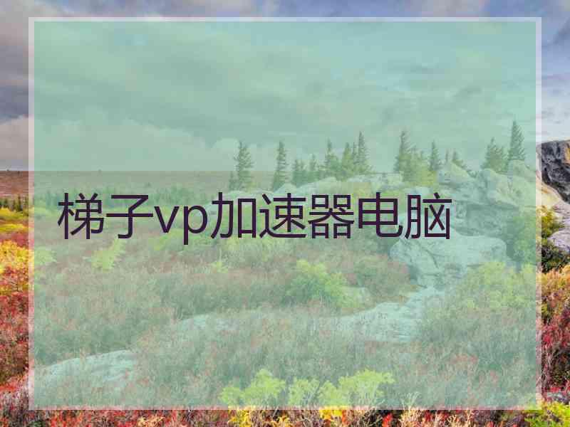 梯子vp加速器电脑