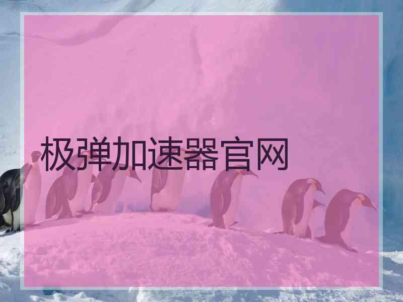 极弹加速器官网