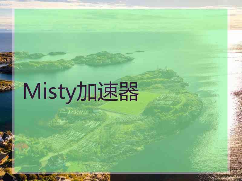 Misty加速器