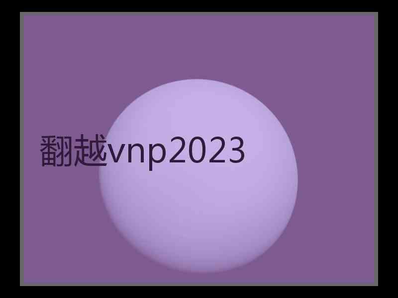 翻越vnp2023