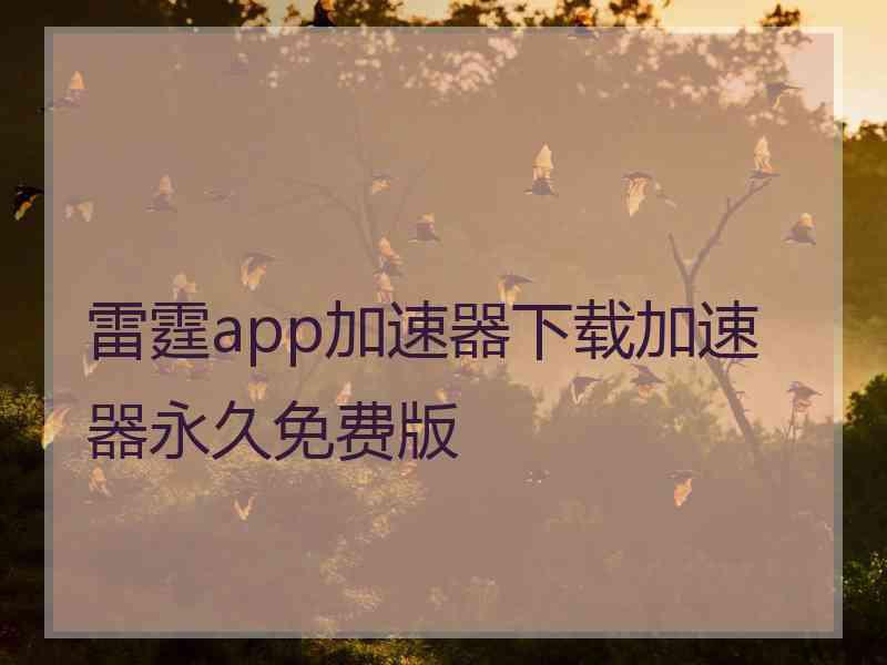 雷霆app加速器下载加速器永久免费版