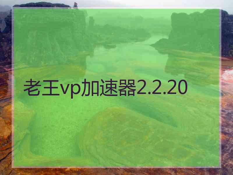 老王vp加速器2.2.20