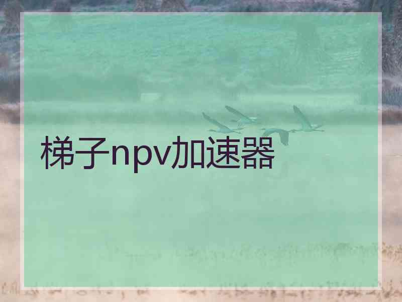 梯子npv加速器