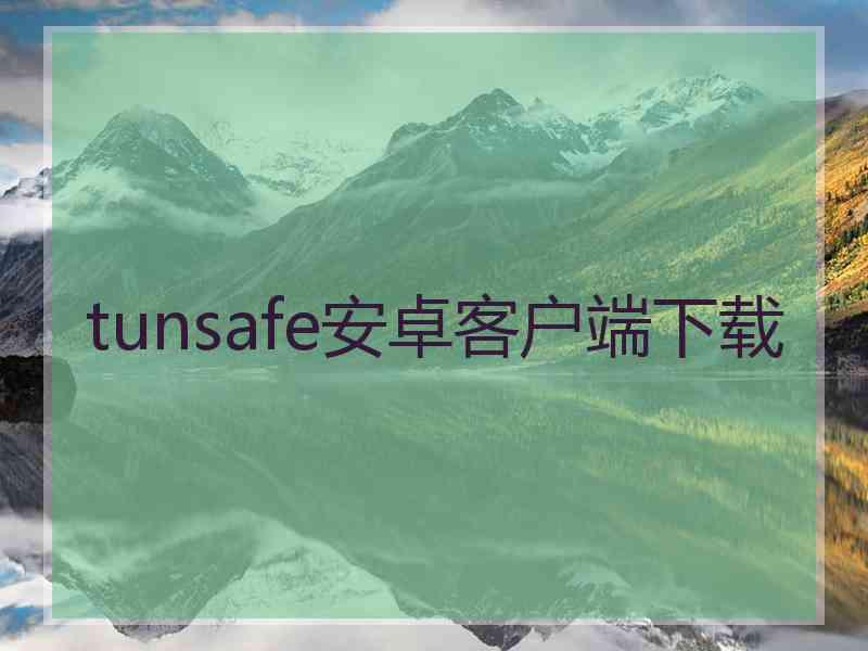 tunsafe安卓客户端下载