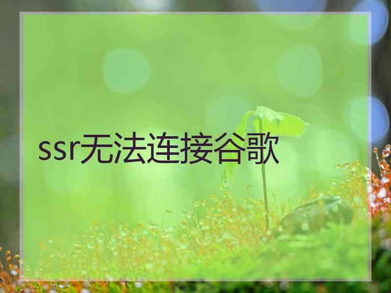 ssr无法连接谷歌