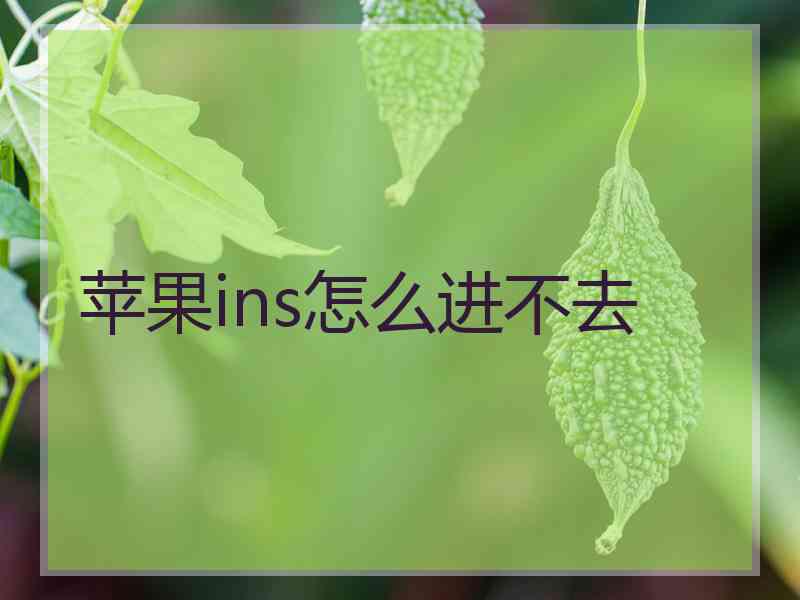 苹果ins怎么进不去